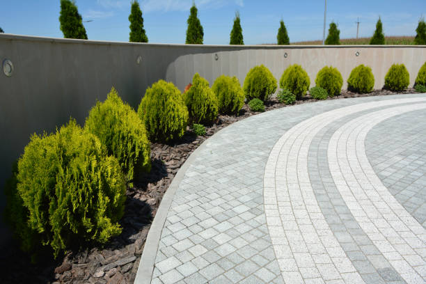 Best Affordable Driveway Paving  in Whitesboro, TX